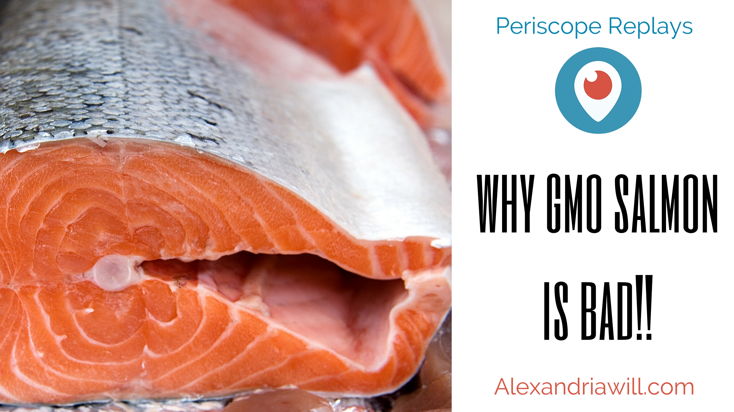 why gmo salmon is bad perioscope replay with fish