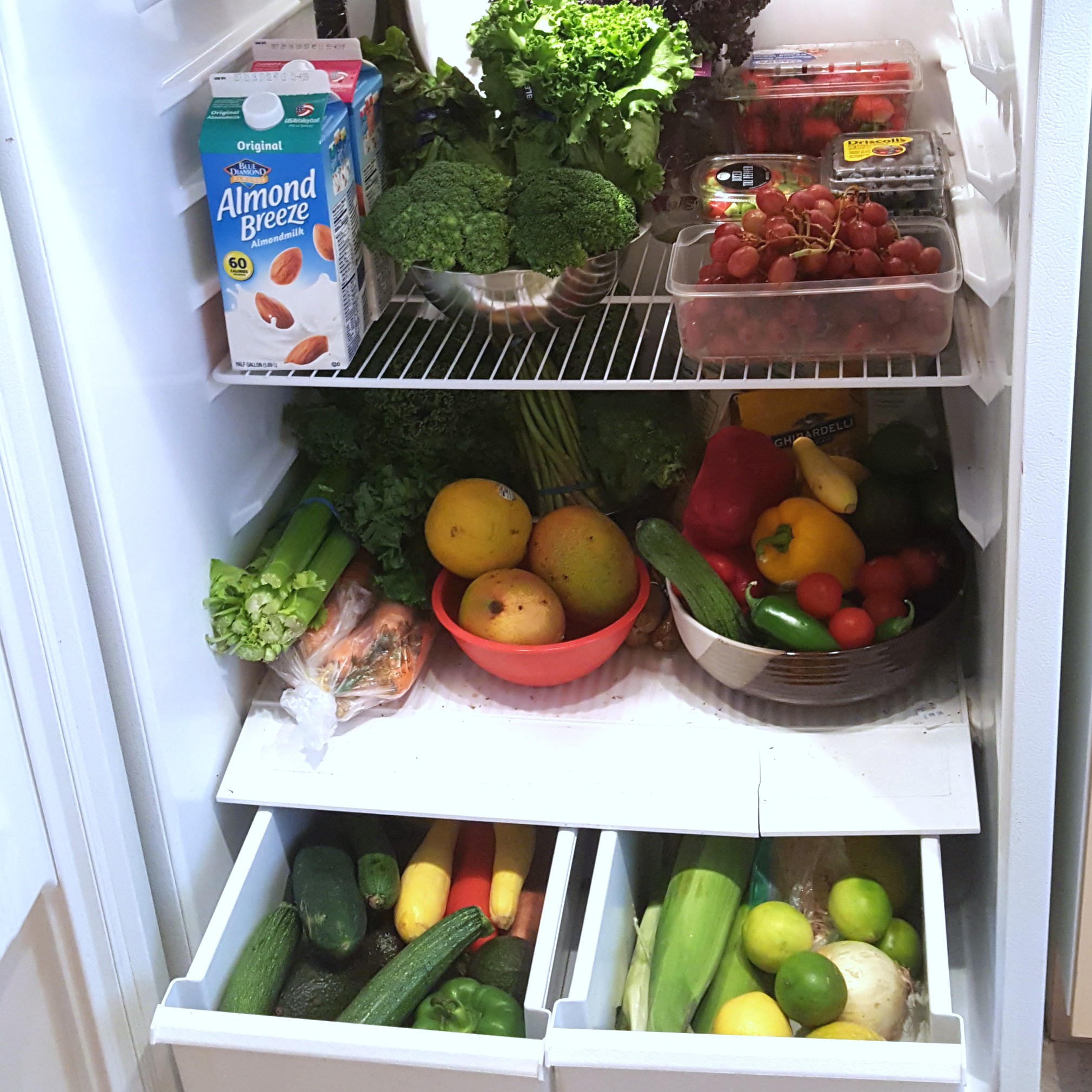 healthy refrigerator fithair